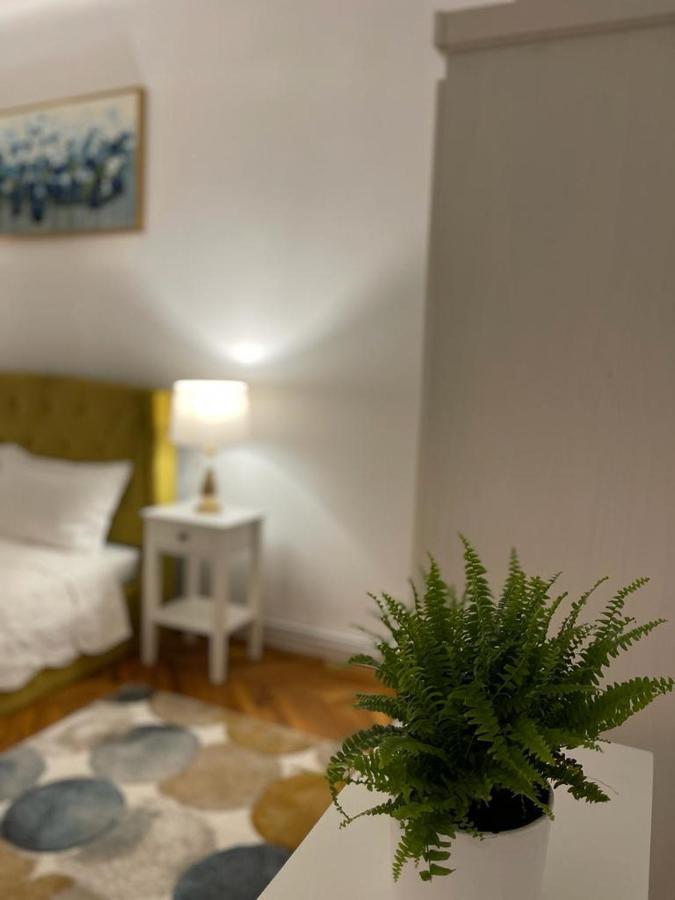 Cityviews Apartment Cluj Extérieur photo