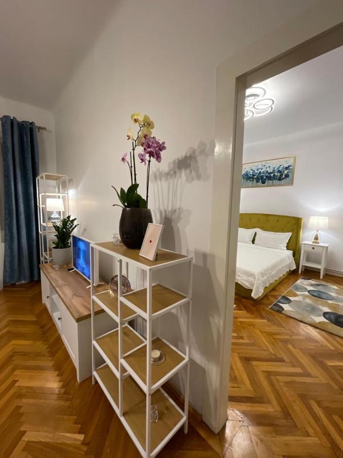 Cityviews Apartment Cluj Extérieur photo