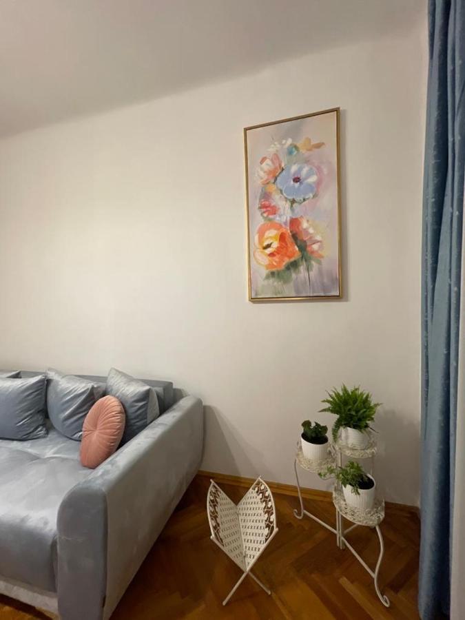 Cityviews Apartment Cluj Extérieur photo