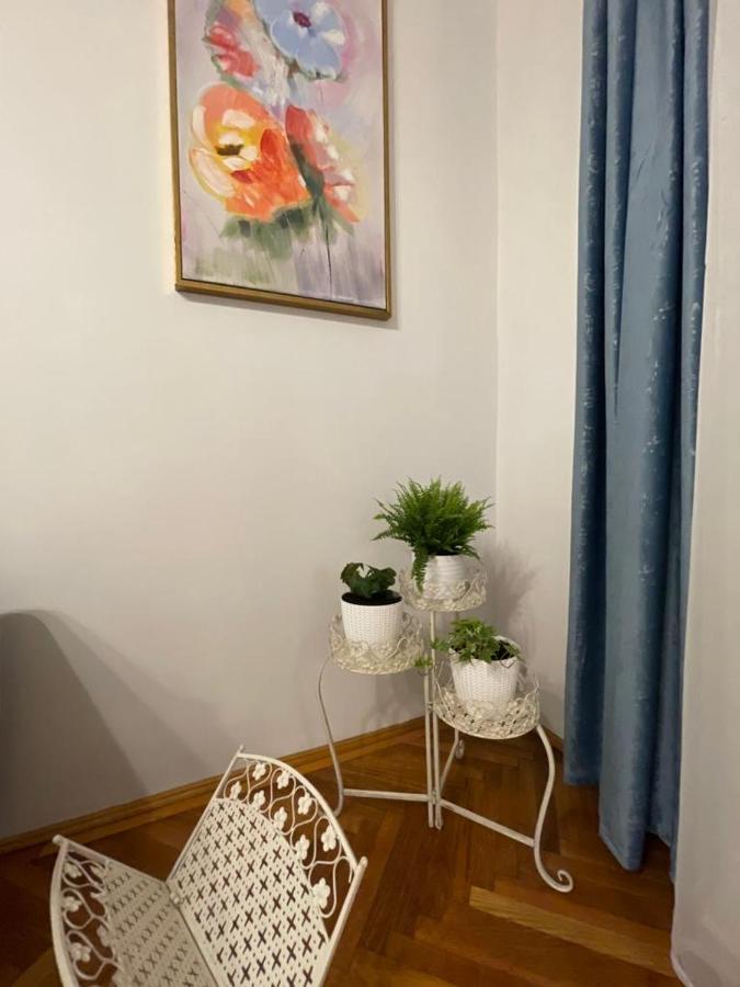 Cityviews Apartment Cluj Extérieur photo